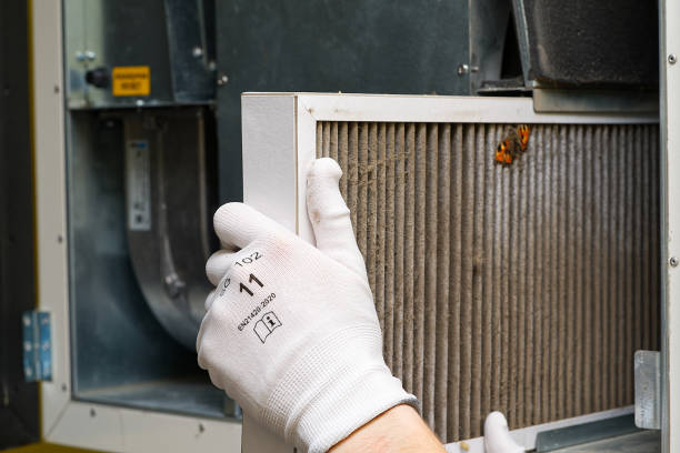 Best Air Vent Cleaning Services  in South Bay, FL
