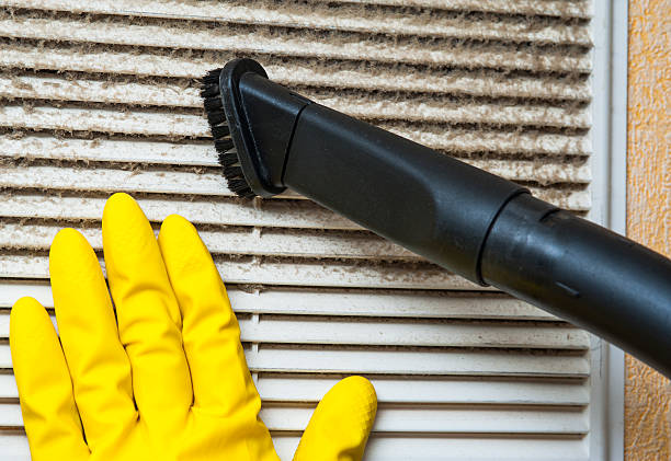 Best Ductwork Cleaning Services  in South Bay, FL